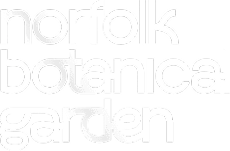 norfolkbg