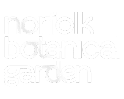 norfolkbg